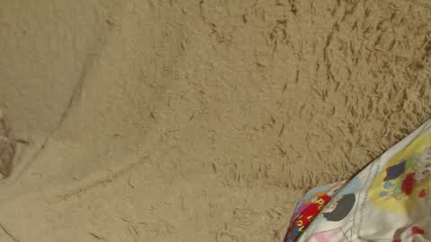 Snapshot of flowercandydoll13 chatting on January 26, 7:41 pm say meow and send tip  online show from January 26, 7:41 pm