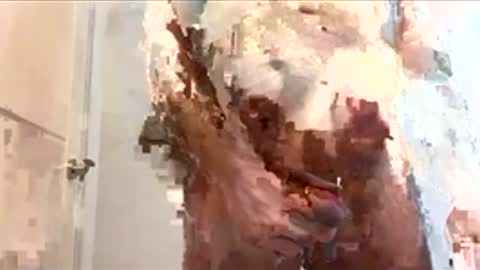 floxc online show from December 15, 7:40 pm