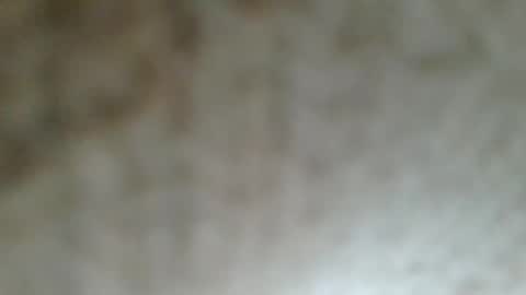 Snapshot of flyn12 chatting on February 21, 12:11 am flyn12 online show from February 21, 12:11 am