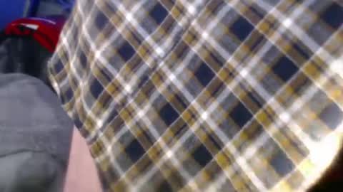 forestnymphpdx online show from December 24, 8:55 am