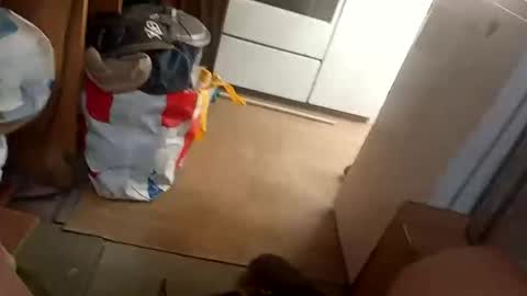 Snapshot of fouducu chatting on March 16, 12:09 pm Fouducu online show from March 16, 12:09 pm