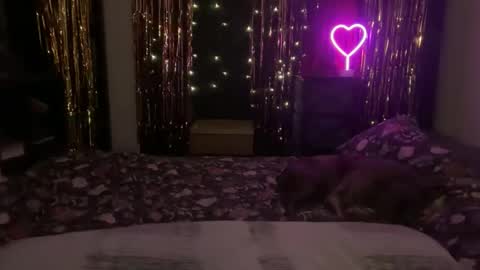 found_me online show from May 3, 4:29 am