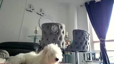 Snapshot of franciscomalin chatting on July 29, 6:55 am franciscomalin online show from July 29, 6:55 am
