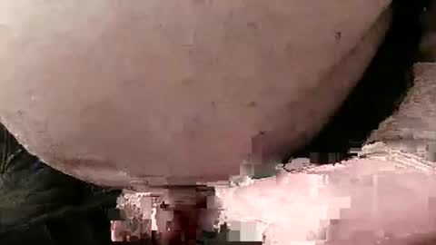 Snapshot of fredaldavid chatting on January 28, 5:03 pm David Fredal online show from January 28, 5:03 pm