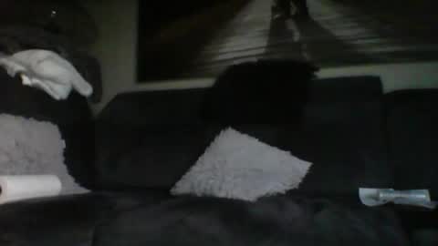 fredo76491 online show from October 31, 4:52 pm