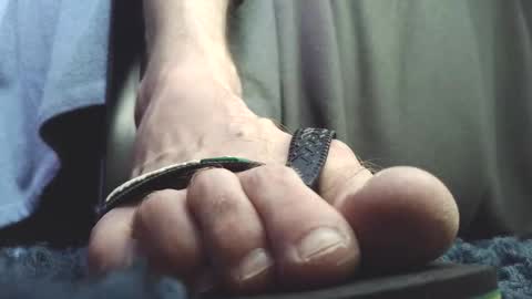 Greedy Fred online show from February 23, 2:47 pm