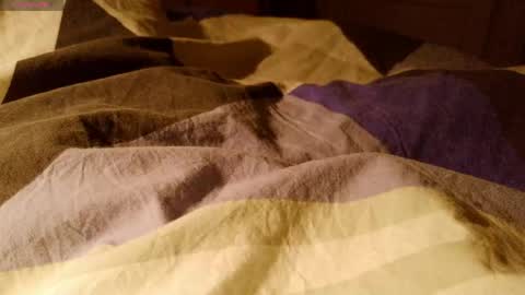 Duckmysick online show from April 24, 11:40 pm