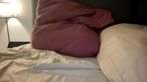 Snapshot of frenchsmoker29 chatting on January 3, 8:21 am frenchsmoker29 online show from January 3, 8:21 am