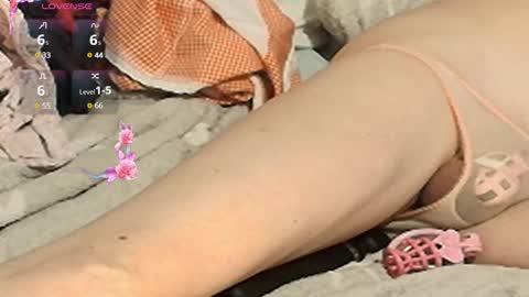 Meadow online show from February 2, 6:53 pm