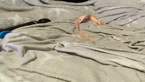 Meadow online show from September 9, 11:26 pm