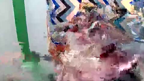 Alex Stone online show from February 1, 3:05 am