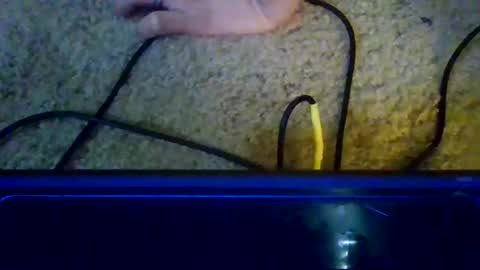 fresno559verga online show from December 17, 6:36 pm