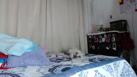 goddesfreyja34 online show from February 6, 12:43 am