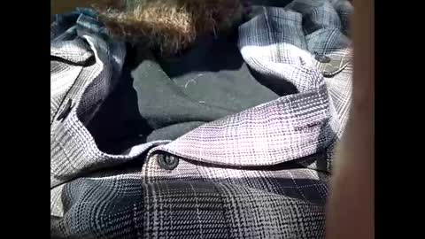 Snapshot of frickish chatting on January 21, 6:55 pm Frickish online show from January 21, 6:55 pm