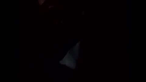 Snapshot of frickish chatting on January 22, 11:21 pm Frickish online show from January 22, 11:21 pm