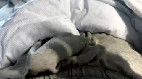 Snapshot of frotlover2 chatting on February 8, 2:16 pm frotlover2 online show from February 8, 2:16 pm