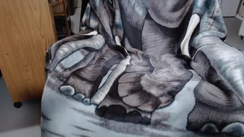 Snapshot of froy4989 chatting on January 7, 4:05 pm Froy4989 online show from January 7, 4:05 pm