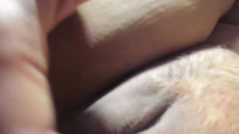 FrumCake online show from December 6, 1:18 am