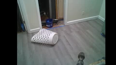 fuckwithmeonetime01 online show from February 16, 10:33 am