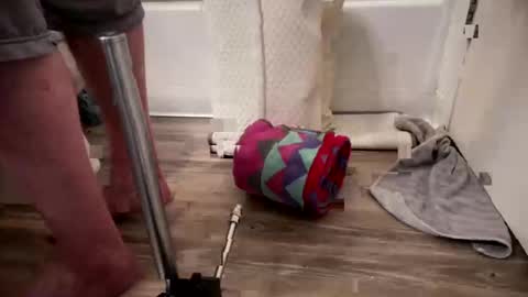 fukmyass247 online show from October 8, 12:14 pm