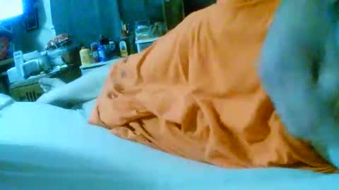 Snapshot of fultonstreet196860 chatting on November 24, 2:22 am fultonstreet196860 online show from November 24, 2:22 am