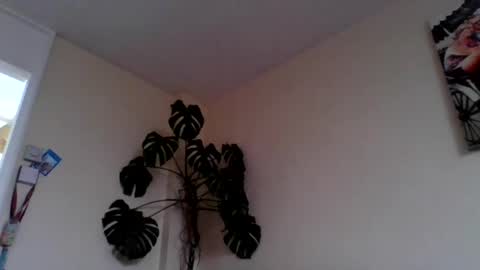 Snapshot of funn333222 chatting on June 15, 10:28 am funn333222 online show from June 15, 10:28 am