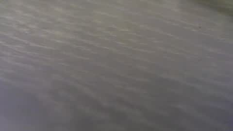 funone8848 online show from September 24, 1:42 am