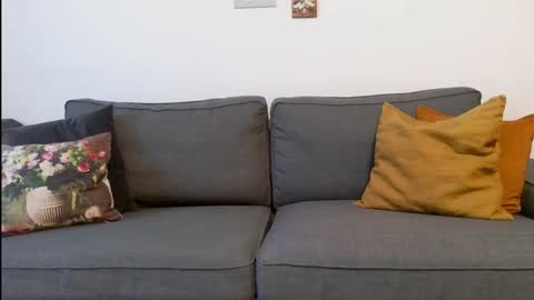 Snapshot of funservice chatting on December 17, 9:17 am funservice online show from December 17, 9:17 am