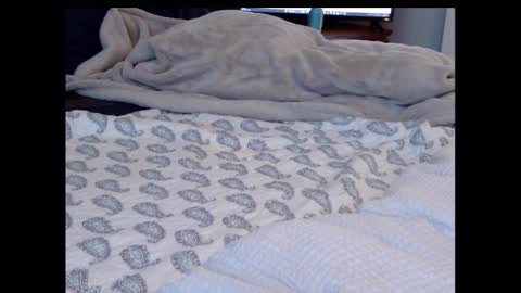 Snapshot of funtimz16 chatting on February 13, 8:34 pm Funtimz16 online show from February 13, 8:34 pm