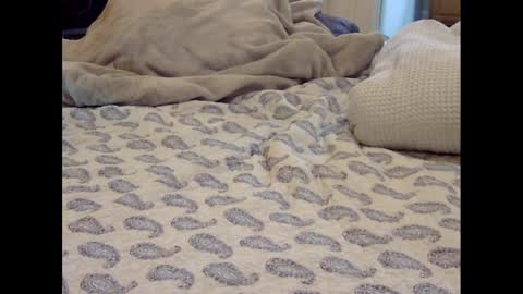 Snapshot of funtimz16 chatting on March 9, 8:07 am Funtimz16 online show from March 9, 8:07 am