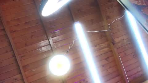 gabriela online show from October 1, 7:09 pm