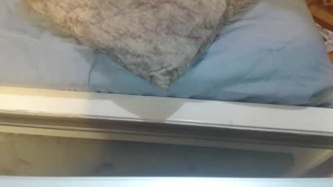 gabysot online show from April 8, 4:07 pm