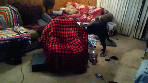 gamerfiend420 online show from October 17, 1:53 am