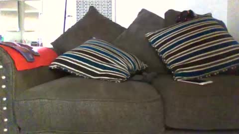 gangdrewski online show from March 7, 11:02 pm