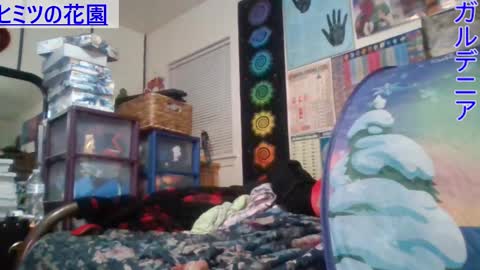 Gardenia online show from February 25, 7:09 am