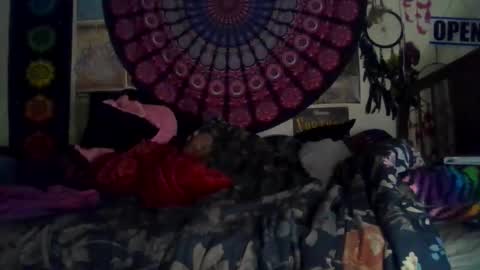 Gardenia online show from February 15, 8:46 am