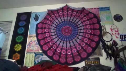 Gardenia online show from March 20, 9:36 am