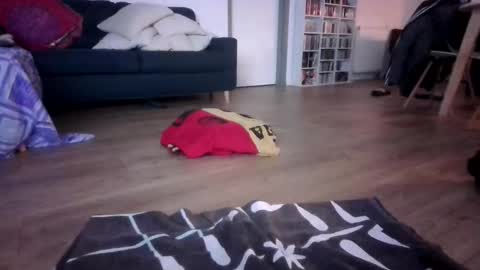 gaypuppychaste online show from December 23, 4:32 am