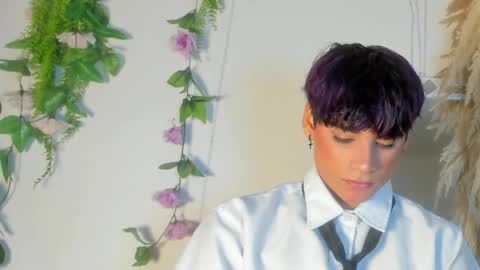 HAN online show from February 5, 2:00 pm