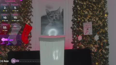 Geminis online show from January 21, 6:54 am