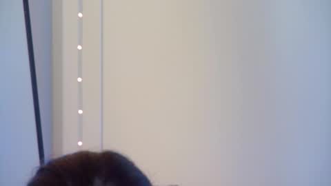 Snapshot of gentlerossi chatting on October 1, 4:02 pm GentleRossi online show from October 1, 4:02 pm