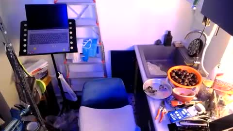 georgempt online show from January 12, 7:42 pm