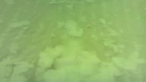 Snapshot of georgempt chatting on June 15, 5:42 am georgempt online show from June 15, 5:42 am