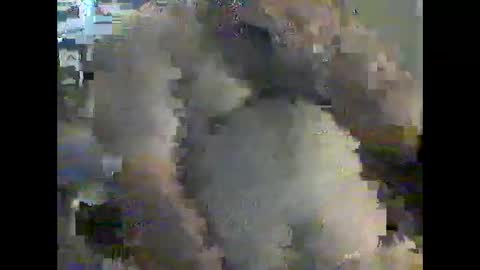 gerabo online show from December 21, 4:57 pm