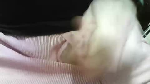 Snapshot of germandaddydick1 chatting on October 25, 8:03 pm germandaddydick1 online show from October 25, 8:03 pm