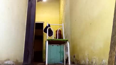 Gaby online show from February 23, 2:58 pm