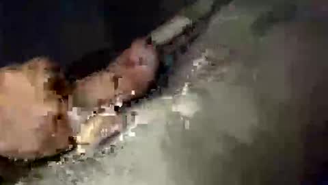 gifted2472 online show from October 12, 5:06 am