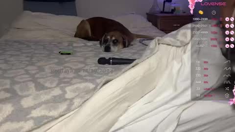 Snapshot of gigitaylorr chatting on December 29, 7:53 pm gigi online show from December 29, 7:53 pm