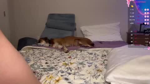 Snapshot of gigitaylorr chatting on February 5, 1:58 am gigi online show from February 5, 1:58 am