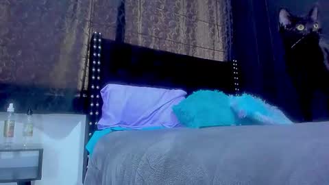 Snapshot of ginger_amarett chatting on September 29, 5:40 pm Miss online show from September 29, 5:40 pm